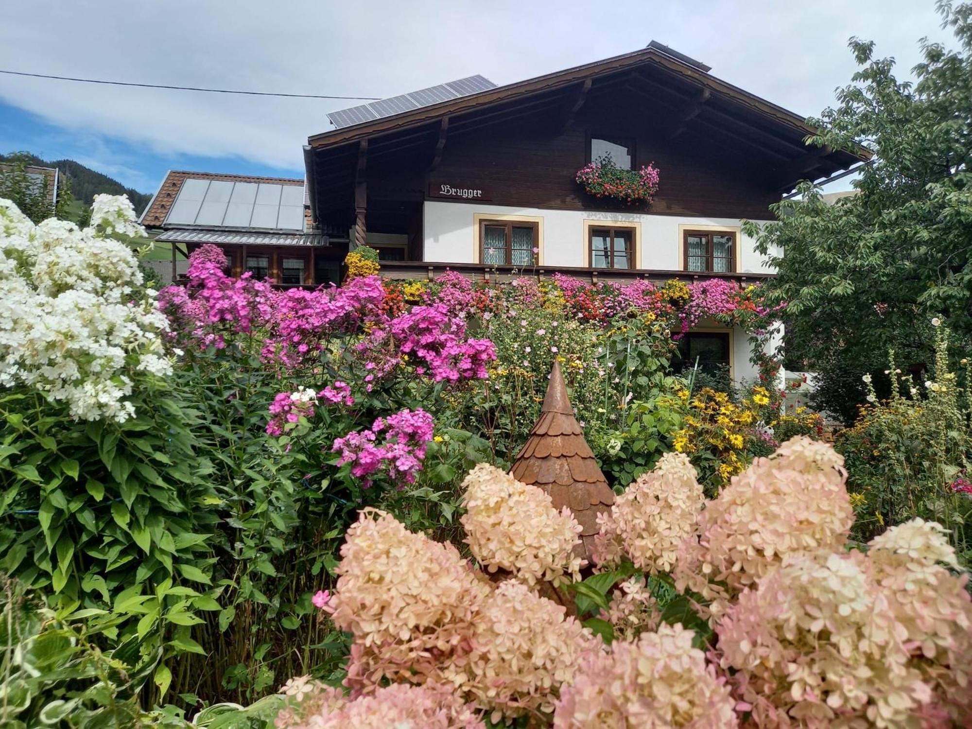 Апартаменты Haus Brugger Реннвег-ам-Качберг Экстерьер фото